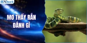 Mơ Thấy Rắn Đánh Gì? Giải Mã Giấc Chiêm Bao Và Con Số